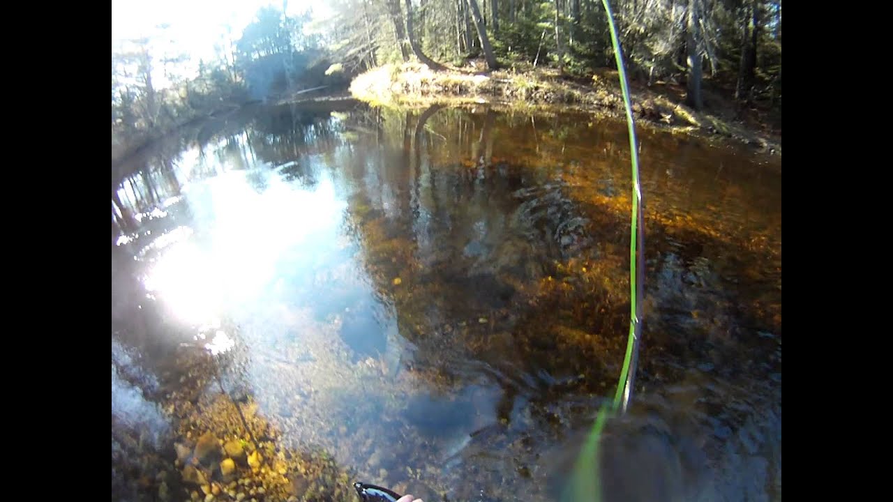 Fall Salmon Fishing In Maine. YouTube