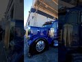 Blue shine peterbilt looks ment shorts youtube truck peterbilt american kenworthcarnation36