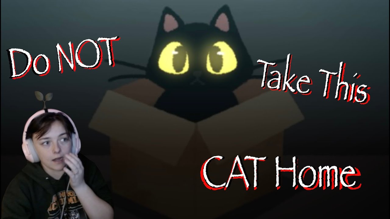 do-not-take-this-cat-home-ending-0-youtube