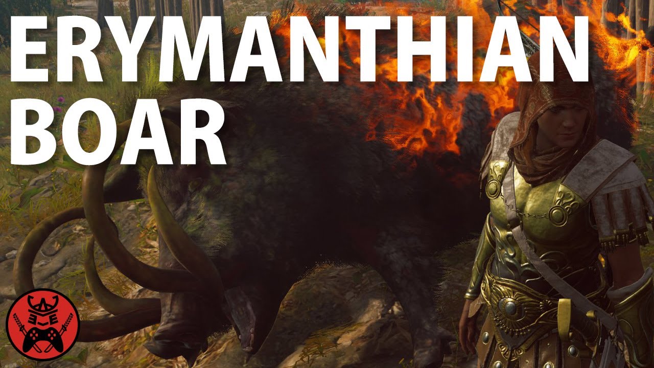 🐷 Assassin's Creed Odyssey - Erymanthian Boar Fight [5 Tips for 2020] [Hard Mode]