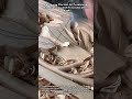 Mastering The Art Of Traditional Wood Carving And Precision Detail Work