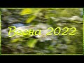 Весна 2022