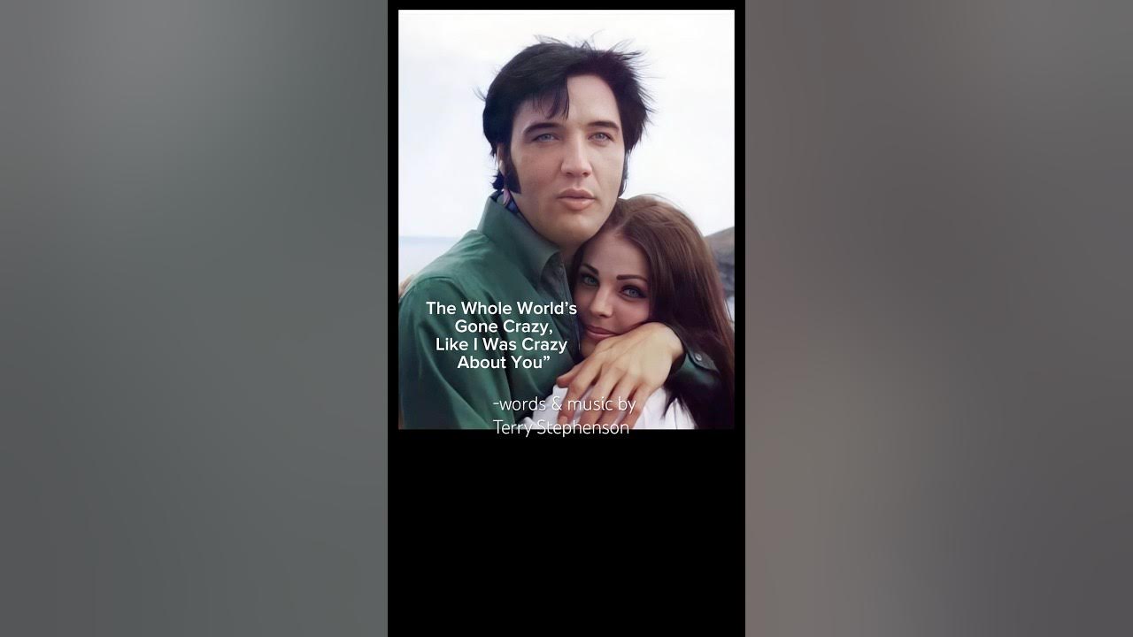 The Whole World’s Gone Crazy, Like I Was Crazy About You by Terry Stephenson The Whole World’s Gone Crazy, Like I Was Crazy About You by Terry Stephenson