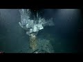 NautilusLive Oct 21 - Hydrothermal vents, tube worms and more!