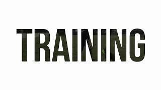NO ORDINARY DISC DOG TRAINING