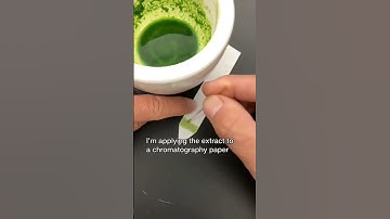 photosynthetic pigments..Isolation and Chromatography