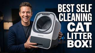 5 Best Self-Cleaning Cat Litter Boxes in 2026 That Are Worth Buying