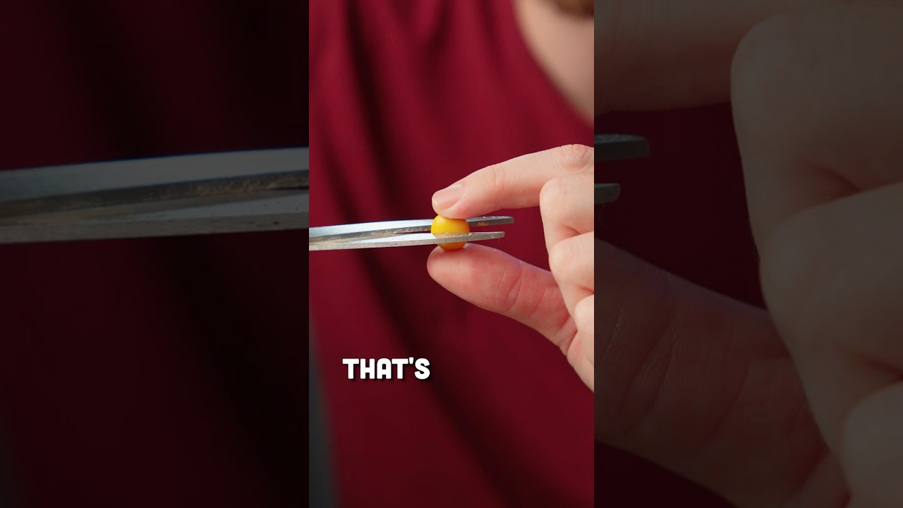 That's NOT How To Eat Candy