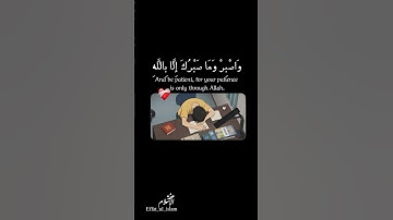 “Listen and lighten your heart❤️ تلاوة مریحة بصوت ماهر المعیقلي🎧#اكسبلور #غزة#فلسطین#صبراجميلا#قرآن