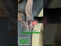 STUCK BOLT Bolt Buster HACK