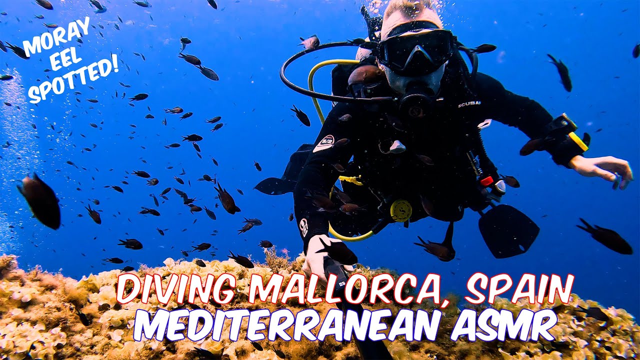 Diving Mallorca, Spain - Some Mediterranean ASMR with Stunning Waters