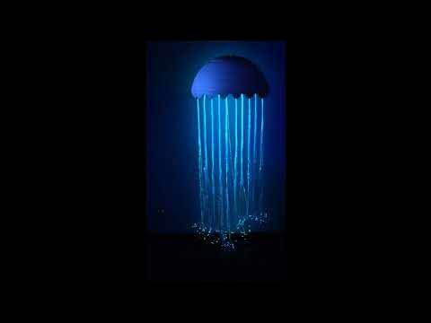 Ocean Adventure Calming Sensory Room - Water on Ceiling 