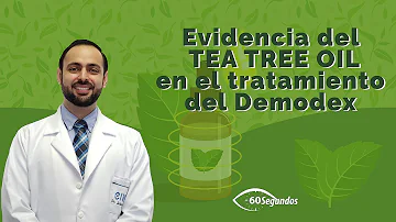 ¿Qué hace el aceite del árbol del té contra el Demodex?