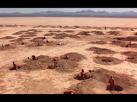 一所奇怪的监狱，罪犯到了这里就被送去挖坑，只因地下藏着让人心动的宝藏
