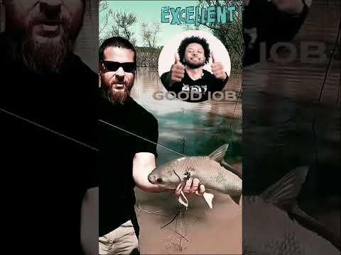 لن تصدق الصياد المحترف يصطاد السمك بالمقلاع في ثوان  2026