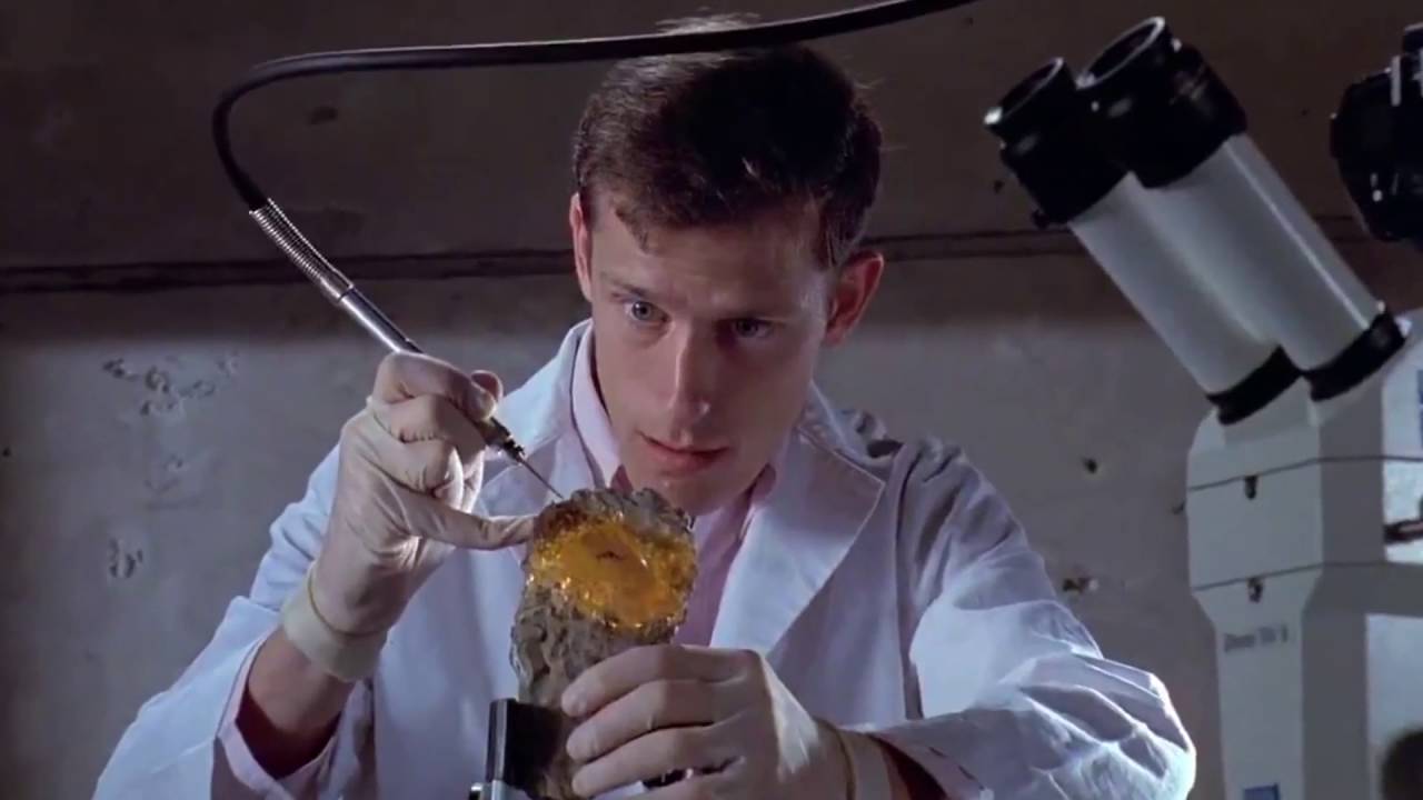 14 DNA Testing - YouTube