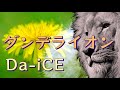 ダンデライオン/Da-iCE【歌詞付き】 ドラマ「ケイジとケンジ、時々ハンジ。」主題歌