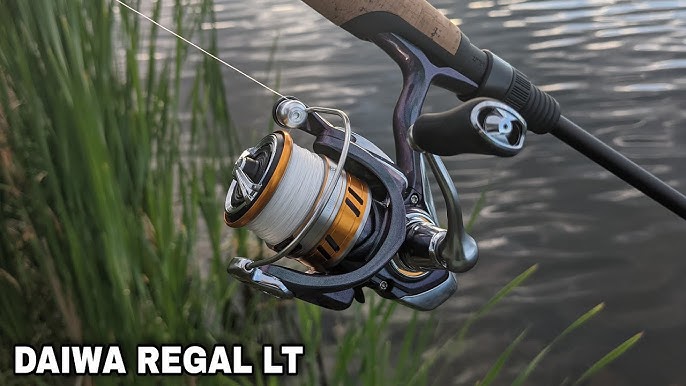 Daiwa Finesse LT Best Ultralight Reel for The Price And Value! 
