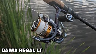 The Best $50 Spinning Reel? Daiwa Regal LT 1000D 