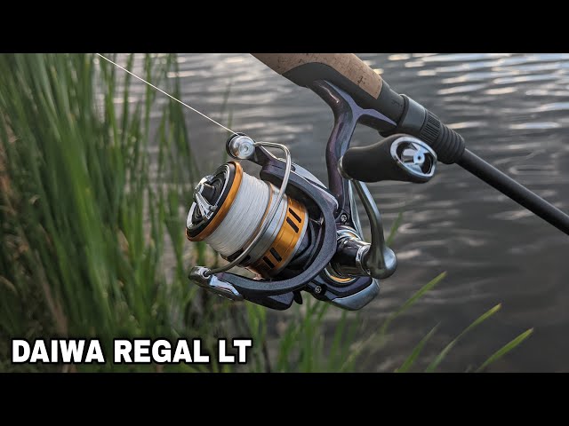 The Best $50 Spinning Reel? Daiwa Regal LT 1000D - YouTube The Best $50 Spinning Reel? Daiwa Regal LT 1000D - YouTube