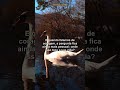 Isaías 41:10 | Versículo Bíblico #shorts