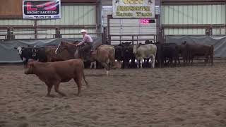 Cut With Style: 5k Novice Horse NonPro at 2024 BECHA Spring Show #2