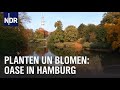 Hamburgs Ruhepol: Planten un Blomen | die nordstory | NDR Doku