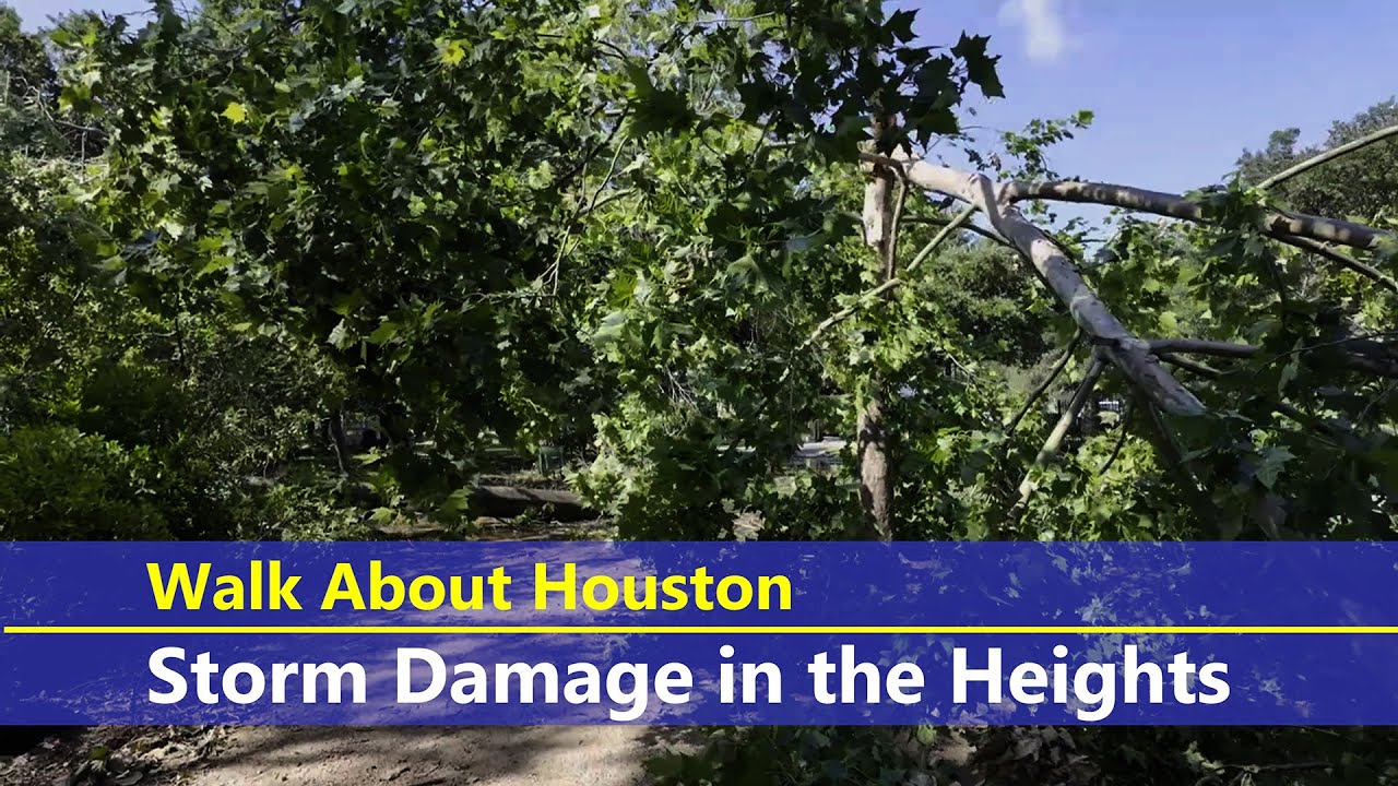 Walk About Houston - Storm Damage in the Heights - YouTube