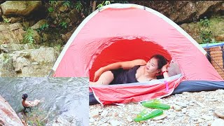 Camp by the stream and catch snails to sell for money to make ends meet