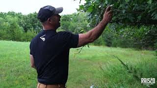 Whitetail Buck And Doe Glandular Scents Raised Hunting Scents Scrape Addict Mock Scrape Lure