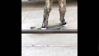 5 Rail Tricks - Grant Waller - Vc: Frostskate