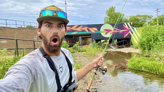 SURPRISING FIND in this URBAN DITCH!!! -- FISHING The CONCRETE JUNGLE!!!