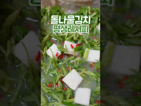 돌나물 물김치 어렵게 하지 마세요 이 방법은 쉽고 맛있습니다 thumbnail