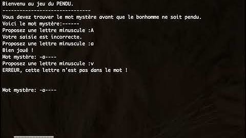 Video du projet "Jeu du pendu" - NSI - Camille Sée