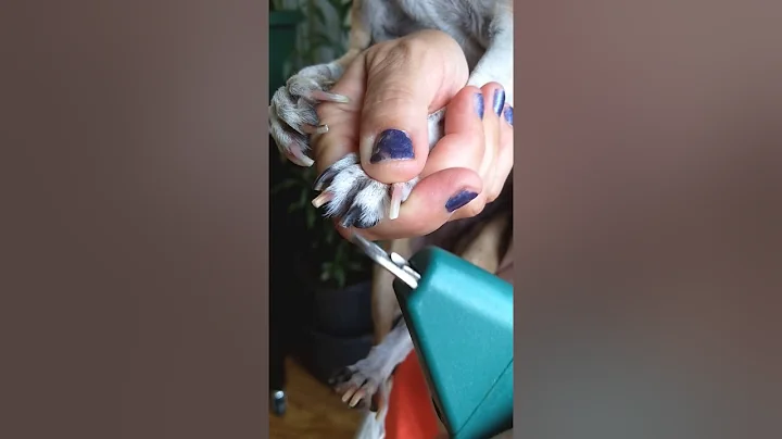 Time for a nail trimming