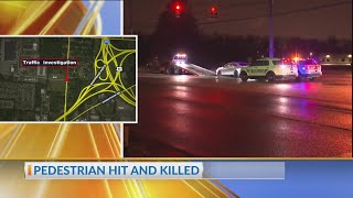 Datos Pedestrian hit and killed Guía