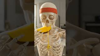 Skeleton Short Viral Video Yoga