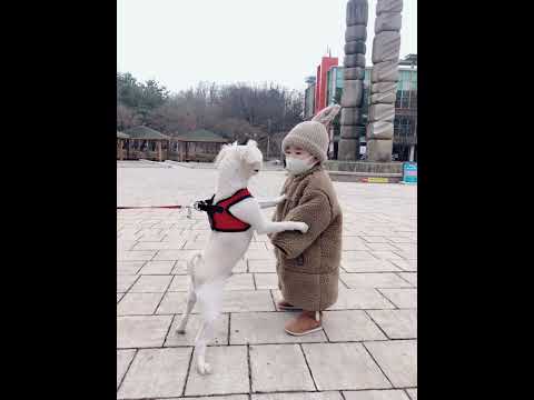 <strong>현피</strong>, 야~ 나랑 한판 뜰까?