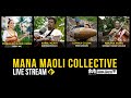 Mana maoli collective live from hawaii  august 22 2020  stayhomewithpfc