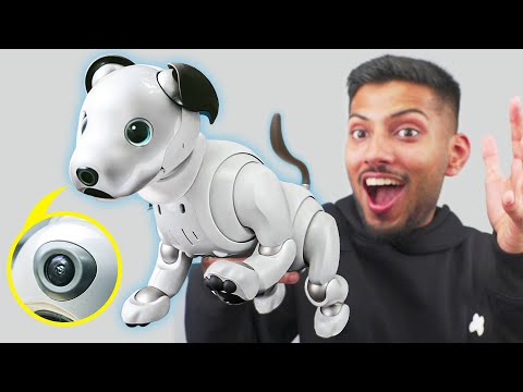 Sony's ₹5,00,000 Smart Robot Dog !