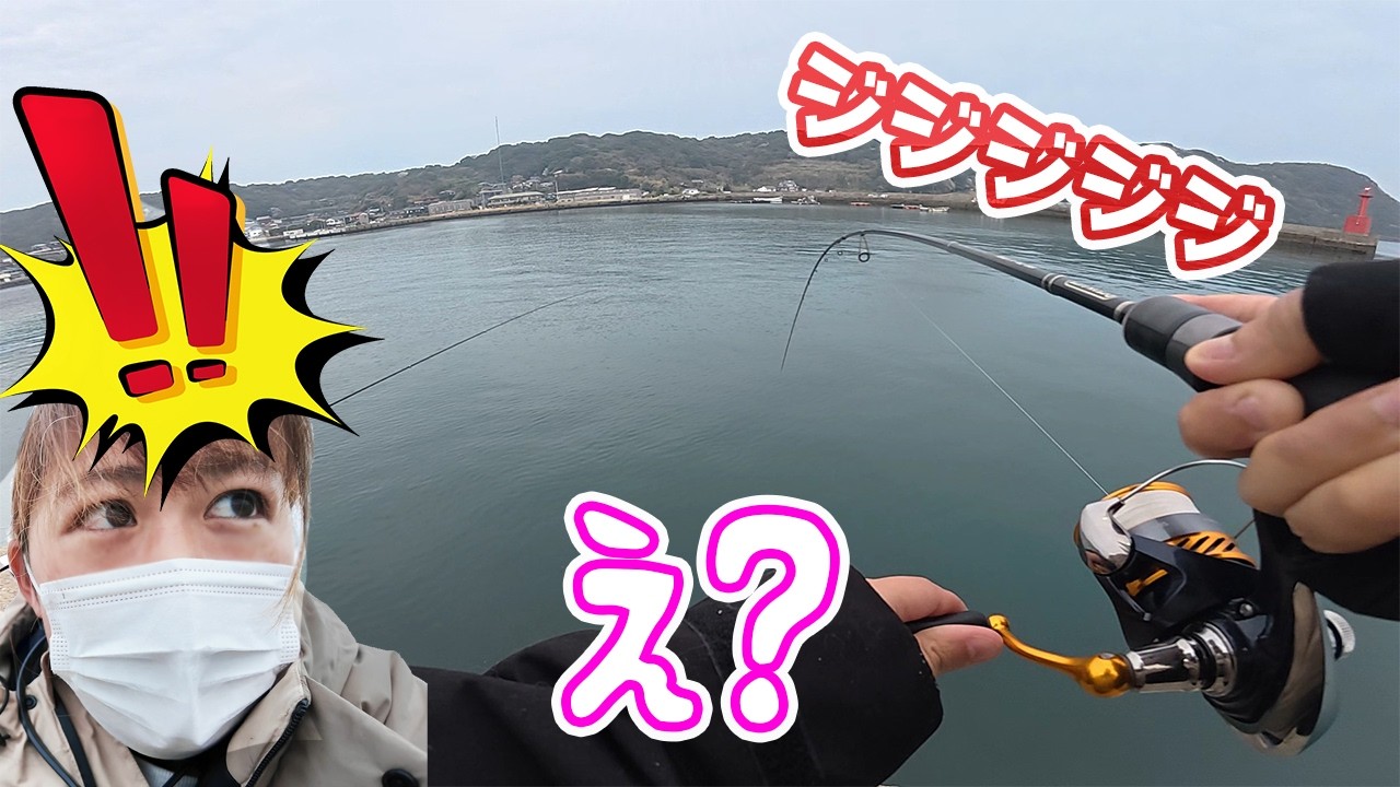 My wife went fishing for sardines, and a huge [something] took the