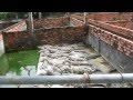 крокодиловая ферма Вьетнам Фукуок(Crocodile Farm Vietnam Phu Quoc)