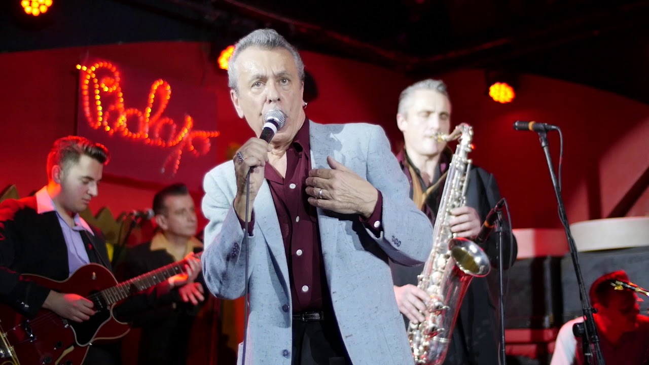 The ALLIGATORS /The FOOL