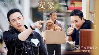 《安家》【罗晋✖️徐姑姑】混剪