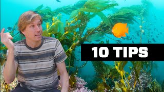 10 Underwater Photography Tips for EVERYONE