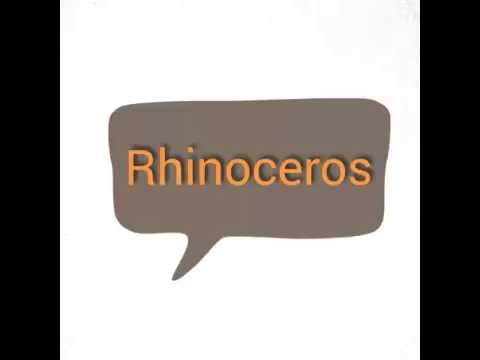 Rhinoceros サイ の英語発音 Youtube