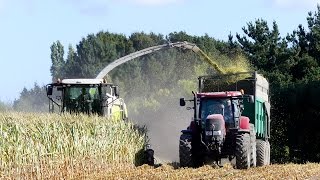 Ensilage 2016 | Claas Jaguar 950 & Kemper 8 rang | Sarl André Bernard