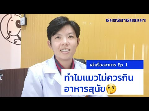 วีดีโอ: การขาดสารอาหารในแมว – ไทอามีนและวิตามินเอในแมว