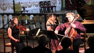 Sydeman Duo, Brahms Trio And Shchedrin 3 Funny Pieces
