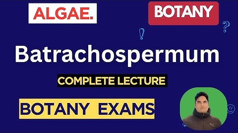 Batrachospermum | Algae | Botany |#BotanyExamPrep 